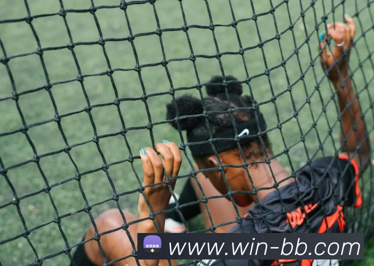 贝博体育平台生态图